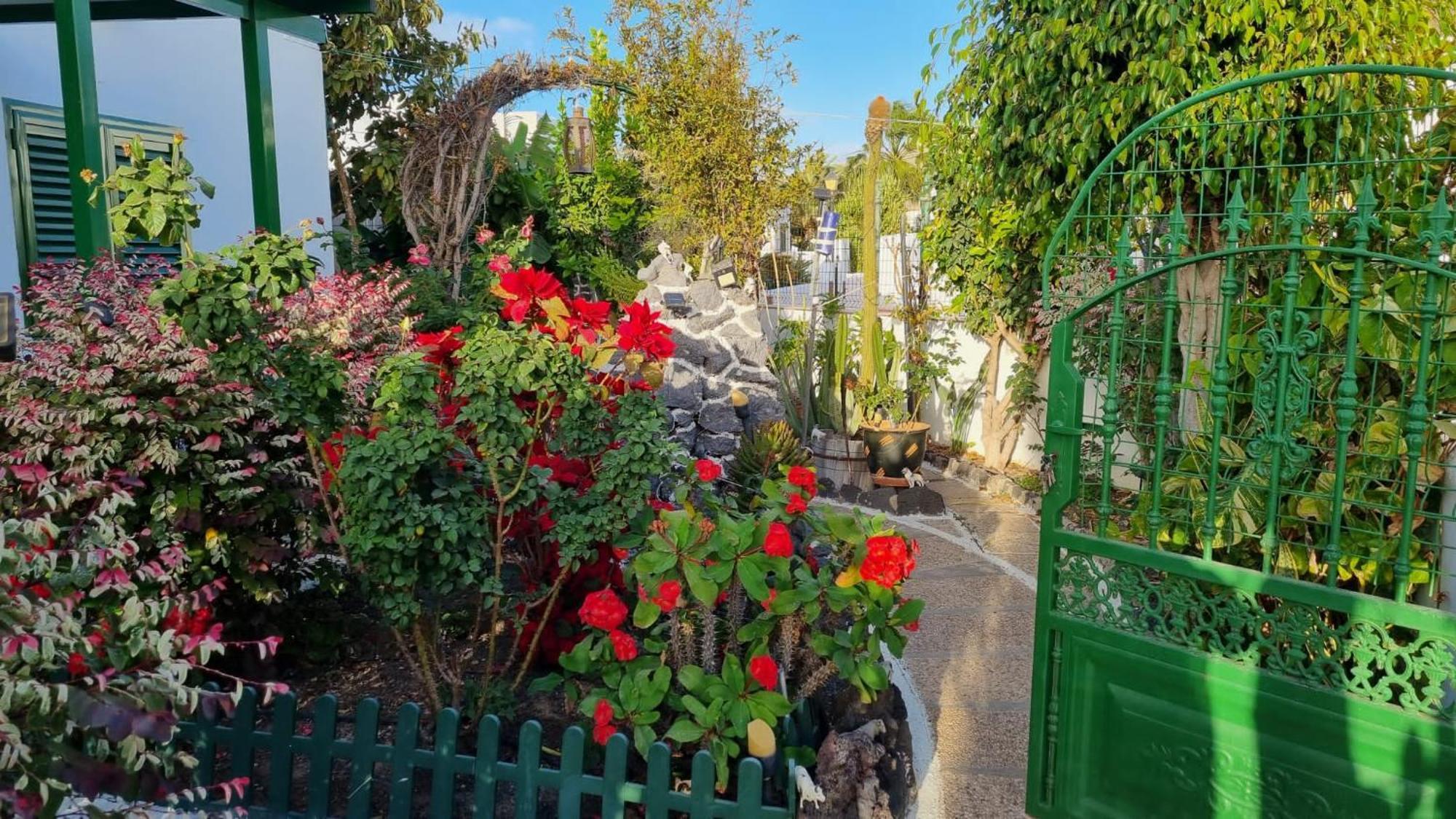Apartamento Bungalows Isabel Maria Πλάγια Μπλάνκα Εξωτερικό φωτογραφία