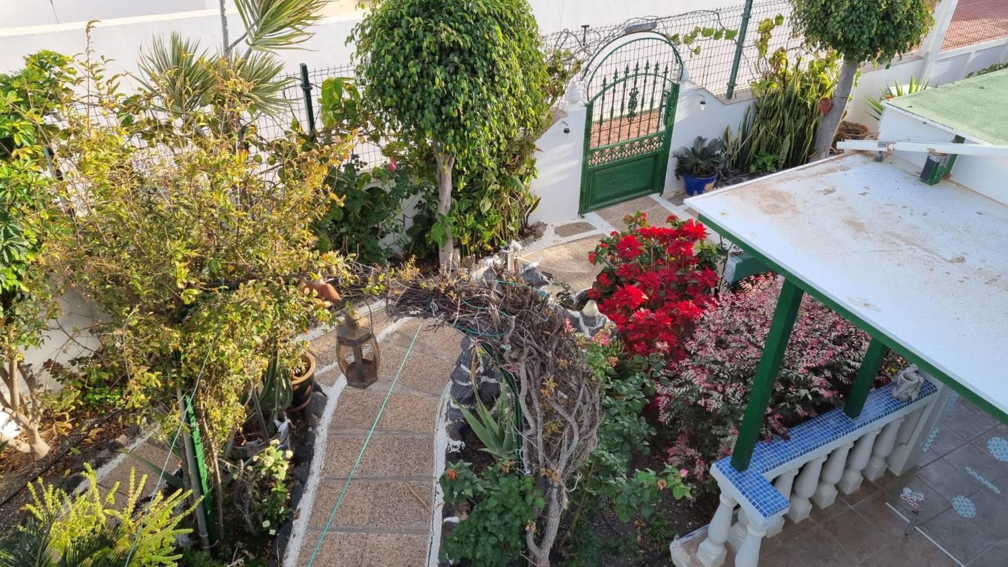 Apartamento Bungalows Isabel Maria Πλάγια Μπλάνκα Εξωτερικό φωτογραφία
